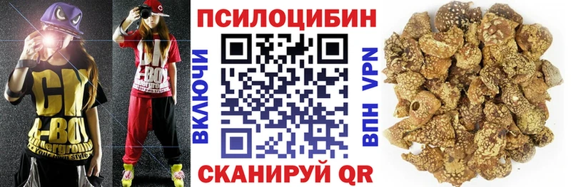 KRAKEN ONION Иваново Псилоцибиновые грибы Magic Shrooms